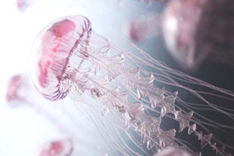 http://foshan.vdtfzz.com/post/208.html|佛山人工试管