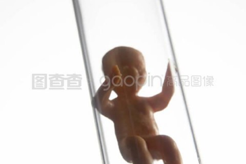 http://foshan.vdtfzz.com/post/197.html|佛山试管助孕