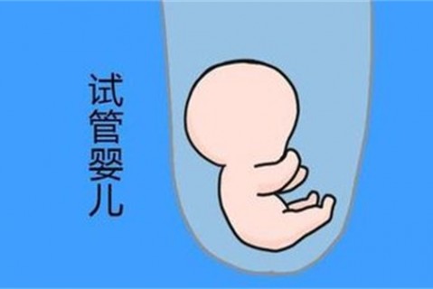 http://foshan.vdtfzz.com/post/194.html|佛山新闻中心
