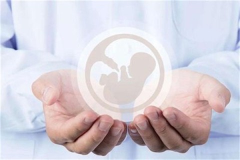 http://foshan.vdtfzz.com/post/214.html|佛山人工试管
